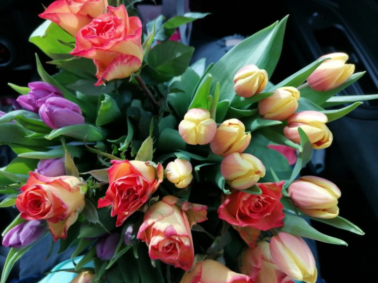 Blumen, Tulpen, Geburtstagsstrauß