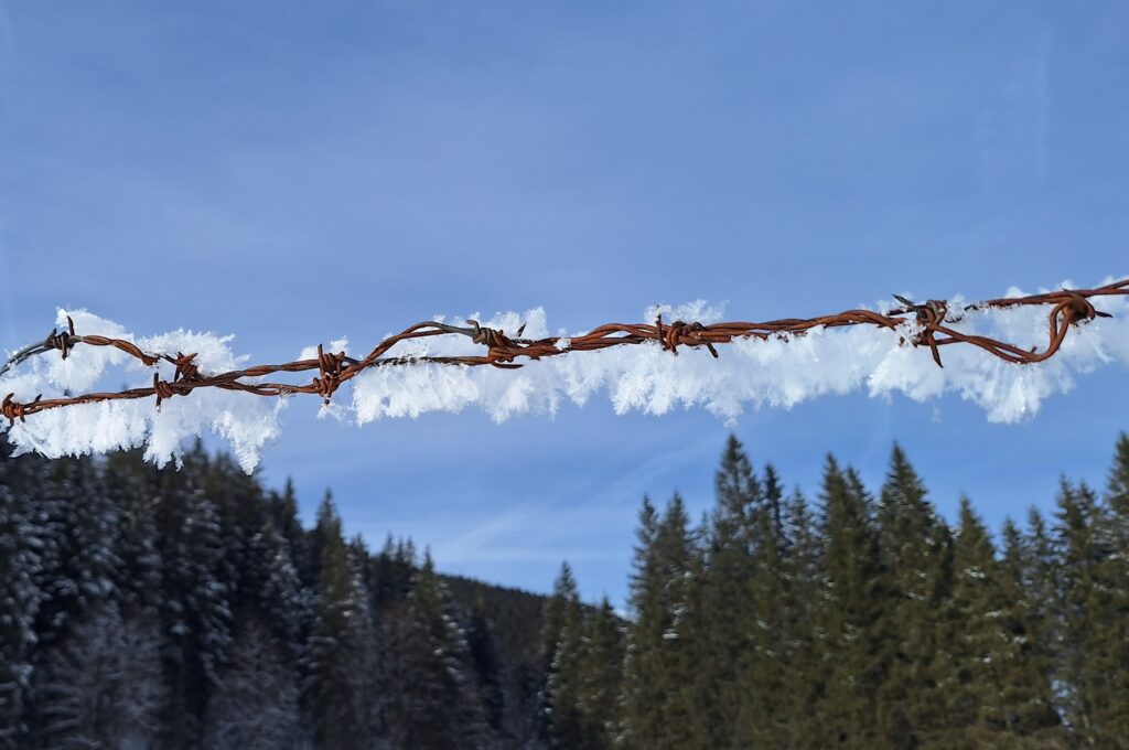 gefrorener Stacheldrahtzaun im Winter am Jägersee im Kleinarltal